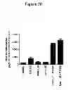 Fig. 43 - Methods for determining drug efficacy using cereblon-associated proteins