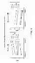 Fig. 02 - Compositions and methods for detecting mycobacterium