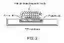 Fig. 03 - Compositions and methods for detecting mycobacterium