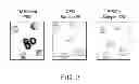 Fig. 04 - Compositions and methods for detecting mycobacterium