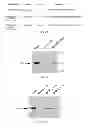 Fig. 05 - Methods of Modulating Vesicular Trafficking