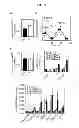 Fig. 08 - Biomarker for replicative senescence