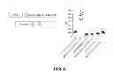 Fig. 06 - Identifying molecules modulating protein-protein interactions using protease activated reporters