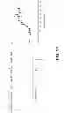 Fig. 15 - Identifying molecules modulating protein-protein interactions using protease activated reporters