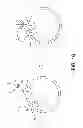 Fig. 17 - Identifying molecules modulating protein-protein interactions using protease activated reporters