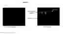 Fig. 13 - In vitro method using human skin for evaluating the influence of ABC transporters
