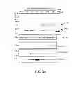 Fig. 04 - Method and Biomarker for Detecting of Acute Kidney Injury