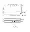 Fig. 06 - Method and Biomarker for Detecting of Acute Kidney Injury