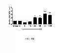 Fig. 07 - Method and Biomarker for Detecting of Acute Kidney Injury