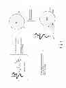 Fig. 02 - Immobilized enzymatic reactor