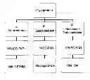 Fig. 01 - Rapid and accurate analysis of protein sialylation