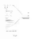 Fig. 03 - Method for classifying the presence or absence of a microorganism in a biological medium