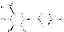 Fig. 28 - Method for classifying the presence or absence of a microorganism in a biological medium