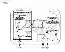 Fig. 02 - Engineered microalgae with enhanced lipid production