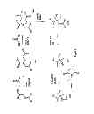 Fig. 06 - Stabilized compounds having secondary structure motifs