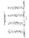 Fig. 08 - Stabilized compounds having secondary structure motifs