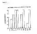 Fig. 09 - Stabilized compounds having secondary structure motifs