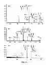 Fig. 08 - Monoclonal antibodies with enhanced ADCC function