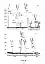 Fig. 09 - Monoclonal antibodies with enhanced ADCC function