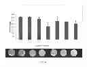Fig. 07 - Portable nanoparticle based assay for rapid detection of food antioxidants (NanoCerac)