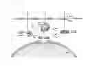 Fig. 03 - COMPOSITIONS AND METHODS TO ASSESS THE CAPACITY OF HDL TO SUPPORT REVERSE CHOLESTEROL TRANSPORT