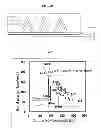 Fig. 07 - Flexible semiconductor device and method of manufacturing the same