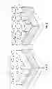 Fig. 02 - Substrate mask patterns, methods of forming a structure on a substrate, methods of forming a square lattice pattern from an oblique lattice pattern, and methods of forming a pattern on a substrate