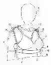 Fig. 01 - Brassiere with concealable shirt sleeve retaining loop