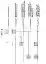 Fig. 09 - Relay apparatus for broadcast waves