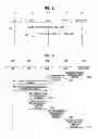 Fig. 02 - Method of providing service continuity between cellular communication and device to-device communication