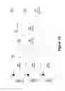 Fig. 04 - Management of voice communications over long term evolution networks