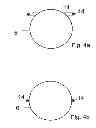 Fig. 07 - Articles of play for use in the game of catch