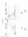 Fig. 12 - Planetary gear train of automatic transmission for vehicle