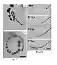 Fig. 03 - Membrane template synthesis of microtube engines