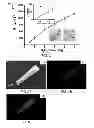 Fig. 04 - Membrane template synthesis of microtube engines