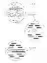 Fig. 09 - Bead Emulsion Nucleic Acid Amplification