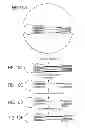 Fig. 10 - Bead Emulsion Nucleic Acid Amplification