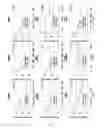 Fig. 64 - Composition or kit for making a prognosis of liver cancer, and method for making a prognosis of liver cancer