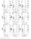 Fig. 96 - Composition or kit for making a prognosis of liver cancer, and method for making a prognosis of liver cancer