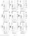 Fig. 99 - Composition or kit for making a prognosis of liver cancer, and method for making a prognosis of liver cancer