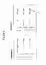 Fig. 06 - Aptamer coated measurement and reference electrodes and methods using same for biomarker detection