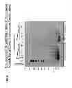 Fig. 06 - Transposon end compositions and methods for modifying nucleic acids