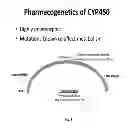Fig. 04 - Cell-Based Materials and Methods for Defining Pharmacogenetic Differences in Drug Metabolism