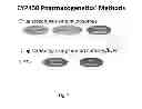 Fig. 08 - Cell-Based Materials and Methods for Defining Pharmacogenetic Differences in Drug Metabolism
