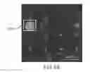 Fig. 35 - Evaporative edge lithography of a liposomal drug microarray for cell migration assays