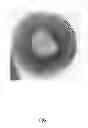 Fig. 02 - Enhanced Lubricant Formulation