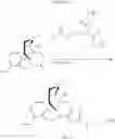 Fig. 41 - Compositions comprising enzyme-cleavable oxycodone prodrug