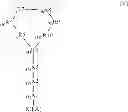 Fig. 08 - Polymyxin derivatives and uses thereof