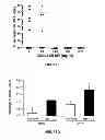 Fig. 02 - Peptide compounds and methods of production and use thereof