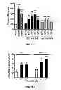 Fig. 06 - Peptide compounds and methods of production and use thereof